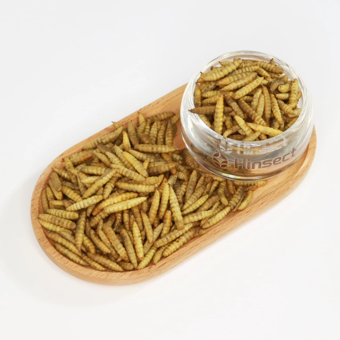 Microwave Dried Black Soldier Fly - 图片 2