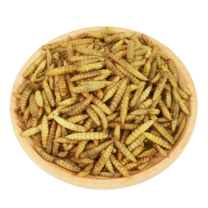 Microwave Dried Black Soldier Fly