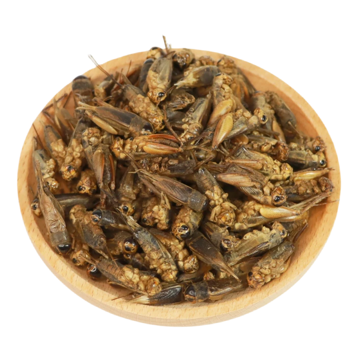 Microwave Dried Crickets