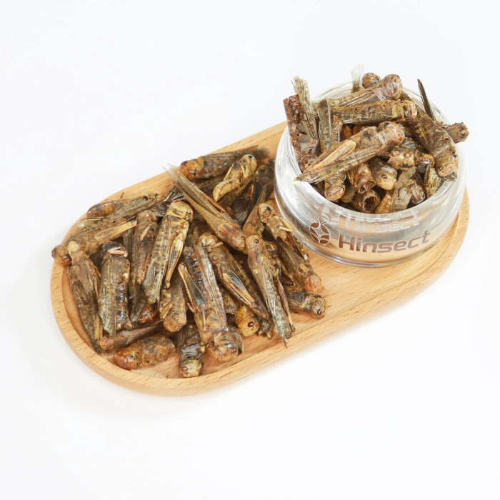 Microwave Dried Grasshoppers - 图片 2