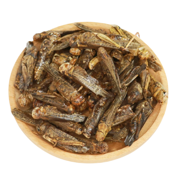Microwave Dried Grasshoppers