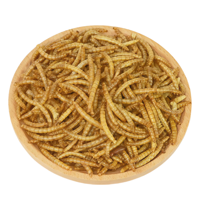 Microwave Dried Mealworms