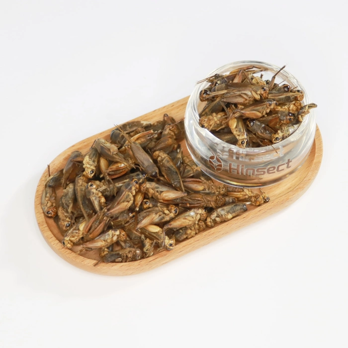 Freeze Dried Crickets - 图片 2