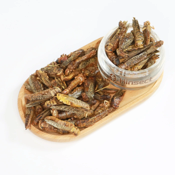 Freeze Dried Grasshoppers - 图片 2
