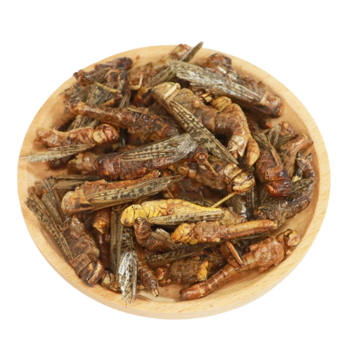 Freeze Dried Grasshoppers